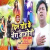 About Dil Tor Ke Mera Jaogi Bhojpuri Song
