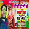 About Bhuji Holi Me Dalbal Khade Khade Song