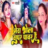 About Mera Bhola Super Power Hai Song