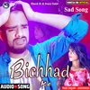 About Bichhad Ke Sad Song 2022 Song