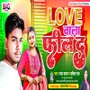 About Love Wala Feel Da Bhojpuri Song