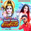 About Pili Bhola Coco Cola Bol Bam Song