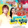 About Sawan Me Bhang Dhathura Bhojpuri Song