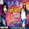 About Laage Jawani Me Makkhi Song