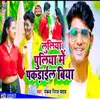 About Luliya Puliya Me Pakadayile Biya Bhojpuri Song