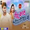 About Gehu Kate Bhorhariya Me Song