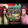 About Pujawa He Ge Pujawa Bhojpuri Song