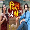 About Dil Dard Dela Bhojpuri Song Song