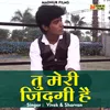 About Tu Meri Jindagi Hai Hindi Song