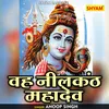 About He Nilkanth Mahadev Hindi Song