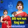 About Teri Pal Pal Dekhu Baat Rajasthani Song