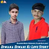 Diwana Diwani Ki Love Story