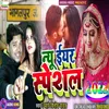 About Bhagalpur Me Jaan Pachtaibu Ho Song