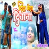 About Dil Bhel Diwana Bhojpuri Song