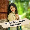 About Dil Ka Pull Harya Jak Hogya Original Song