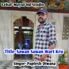 About Sawan Sawan M Vart Kro Rajsthani Song