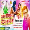 About Bhang Nikal Gaura Jhori Se Bhojpuri Song