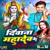 Diwana Mahadev Ke Bhojpuri