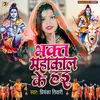 About Bhakt Mahakal Ke Hai Song