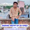 About Dhokho Meena Ka Su Kargi Song