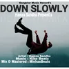 About Down Slowly Song