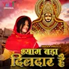 About Shyam Bada Dildaar Hai Song