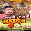 About Jagi Jagi Mahadev (Bhojpuri) Song