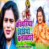 About Kawariya Video Banavatare Song