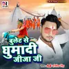 About Bulet Se Ghumadi Jija Ji Song