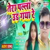 About Tera Palla Ud Gaya Re Song