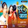 About Dard Na Jata (Lokgeet) Song