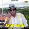 About Jaat No1 (Hindi) Song