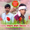 Karu Tharo Wait Dausa M (Rajasthani)