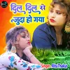 About Dil Dil Se Juda Ho Gaya (Hindi) Song