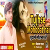 About Tujhse Mohabbat Hai (Hindi) Song