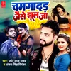 About Chamgadad Jaise Jhul Ja (Bhojpuri) Song