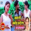 About Jawani Barbaad Kaila Song