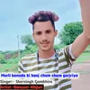 Shersingh Gambhira Hit Song (Hindi)