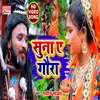 About Suna E Gaura (bolbam song) Song