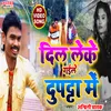 Dil Leke Gayil Dupatta Me (bhojpuri song)