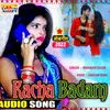 About Kacha Badam Bhojpuri Song