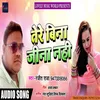 About Tere Bina Jina Nahi Hindi Song
