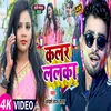 About Color Lalka HOLI SONG Song