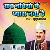 About Sab Nabiyo Mein Pyara Nabi Hai Song