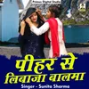 About Pehar Se Libaja Balma Hindi Song