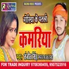 About Goriya Ke Patali Kamariya Bhojpuri Song