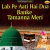 About Lab Pe Aati Hai Dua Banke Tamanna Meri Islamic Song