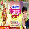 About Aailah Ta Mela Ghum Ke Jaa Bhojpuri Song