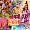 Gali Gali Bhandara Hai Bhojpuri Song