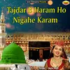 About Tajdar E Haram Ho Nigahe Karam Islamic Song